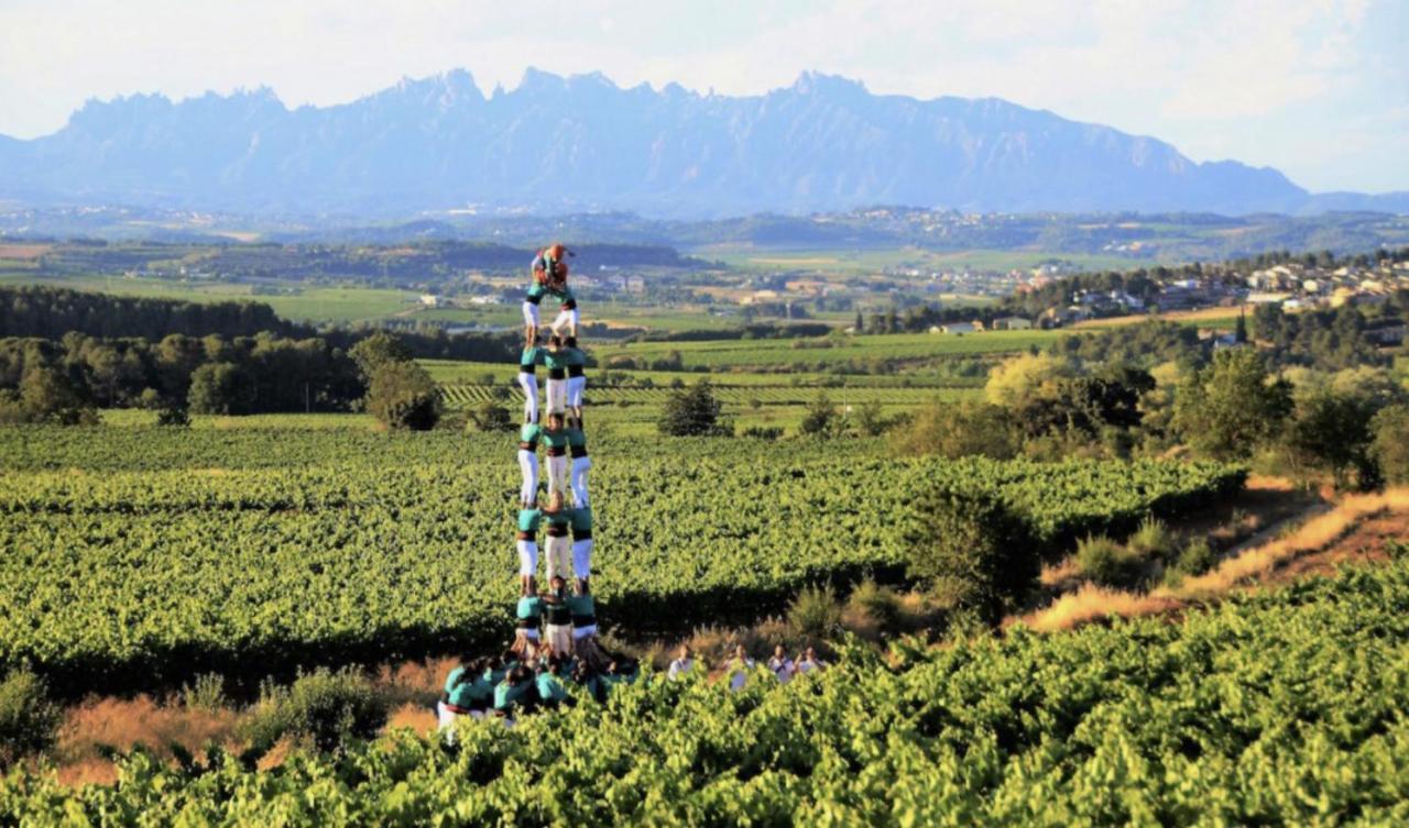 Tina De Vila, En La Capital Del Vino Vilafranca del Penedès Exteriör bild