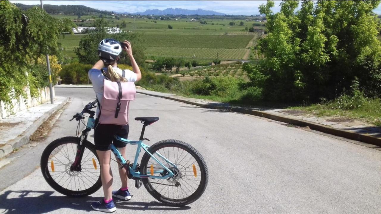 Tina De Vila, En La Capital Del Vino Vilafranca del Penedès Exteriör bild